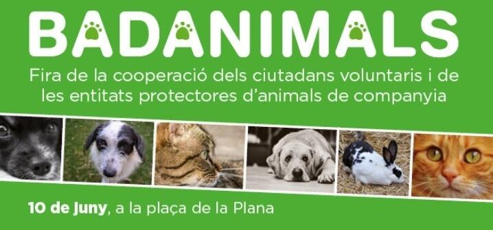 fira badanimals 2017